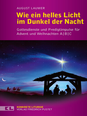 cover image of Wie ein helles Licht im Dunkel der Nacht